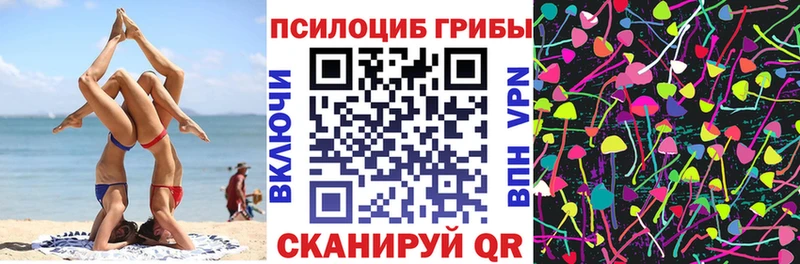 Псилоцибиновые грибы Psilocybine cubensis  Родники 